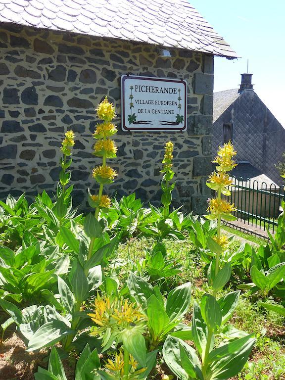Aux Balcons Du Sancy Picherande Exterior foto